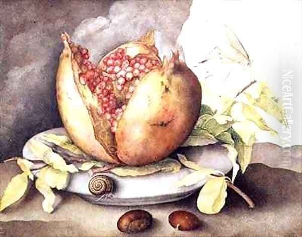 Pomegranate with Chestnuts Oil Painting by Giovanna Garzoni