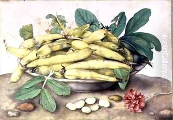 Still Life with Broad Bean Pods Oil Painting by Giovanna Garzoni