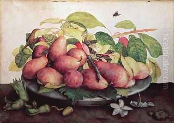 Pears with Hawthorns Oil Painting by Giovanna Garzoni