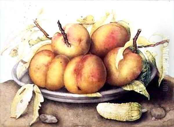 Plate of Peaches with a Pickle Oil Painting by Giovanna Garzoni