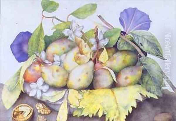 Still life with Plums Walnuts and Jasmine Oil Painting by Giovanna Garzoni