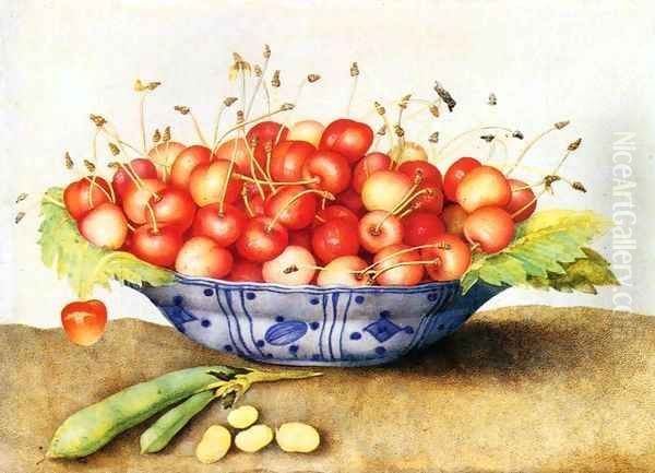 Chinese Porcelain Plate with Cherries Oil Painting by Giovanna Garzoni