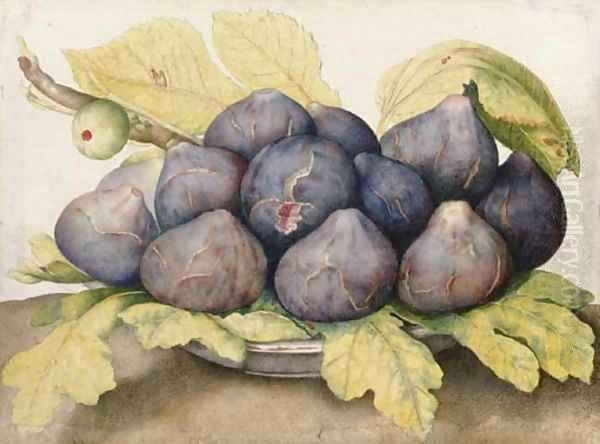 A plate of figs Oil Painting by Giovanna Garzoni