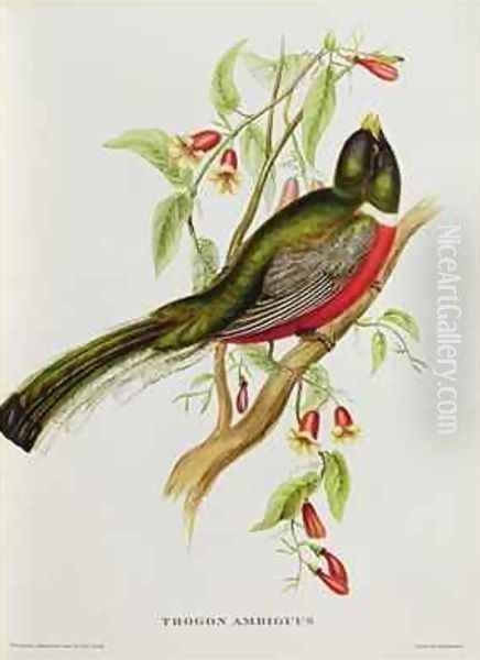 Trogon Ambiguus Oil Painting by John Gould