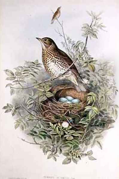 Thrush with its nest Oil Painting by John Gould