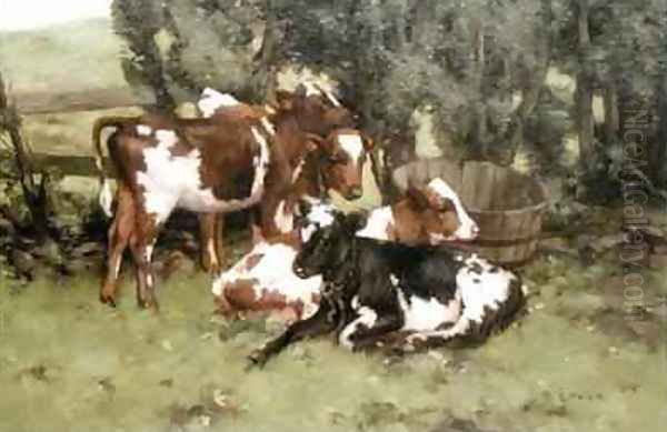 Three Calves Oil Painting by David Gould