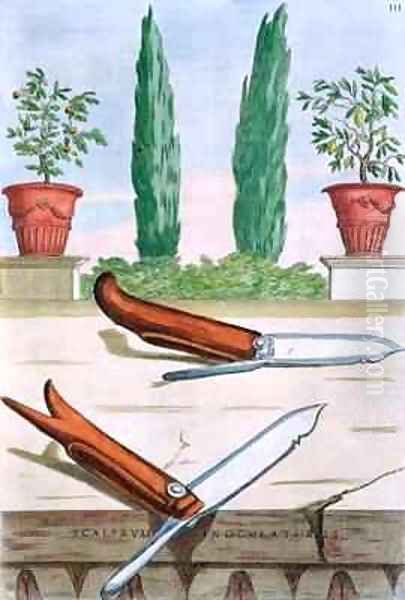 Gardening Knife Oil Painting by Filippo Gagliardi