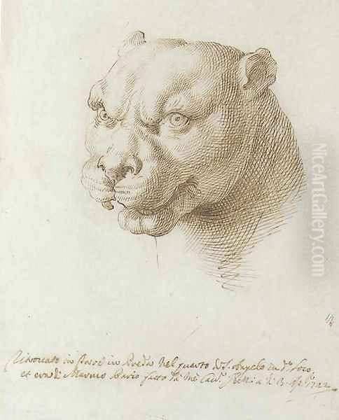 Head of a panther, after the Antique Oil Painting by Pier Leone Ghezzi