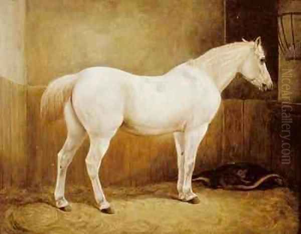 White Horse in a Stable Oil Painting by Geymuller