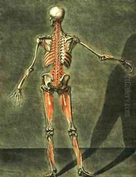 Deep Muscular System of the Back of the Body Oil Painting by Arnauld Eloi Gautier DAgoty