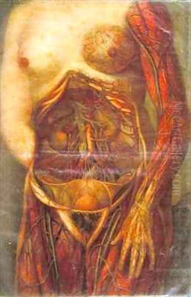 Female torso with open uterus Oil Painting by Arnauld Eloi Gautier DAgoty