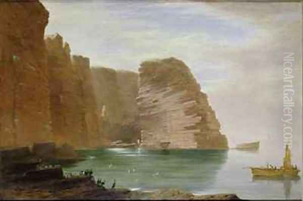 Island of Handa West Coast of Sutherland Oil Painting by James William Giles