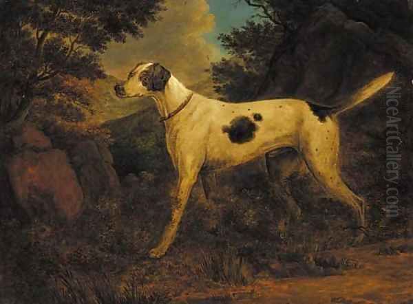 Dash, Colonel Thornton's terrier, in a wooded landscape Oil Painting by Sawrey Gilpin