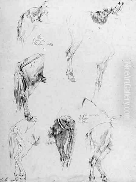 Two sheets of studies of a donkey Oil Painting by Jean-Franois Le Gillon