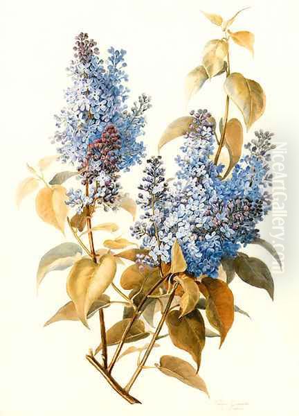 A branch of lilac Oil Painting by Pauline Girardin