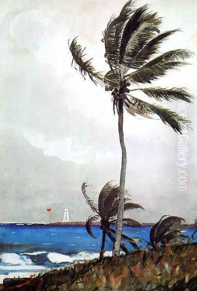 Palm Tree, Nassau Oil Painting by Winslow Homer