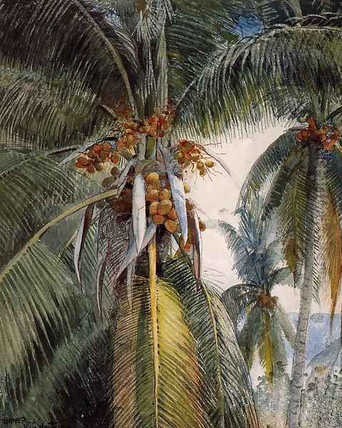 Coconut Palms, Key West Oil Painting by Winslow Homer