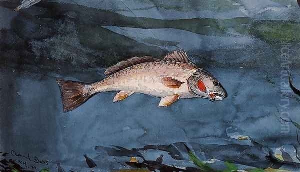 Channel Bass Oil Painting by Winslow Homer