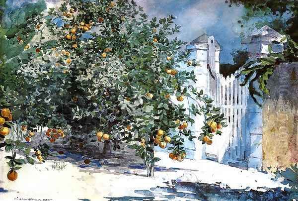 Orange Tree, Nassau (or Orange Trees and Gate) Oil Painting by Winslow Homer