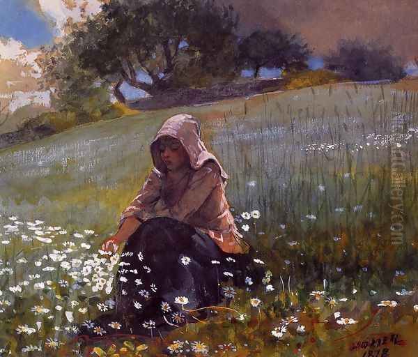 Girl and Daisies Oil Painting by Winslow Homer