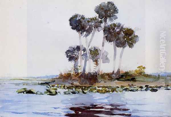 St. John's River, Florida I Oil Painting by Winslow Homer