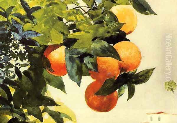 Oranges on a Branch Oil Painting by Winslow Homer