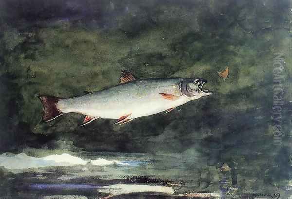 Leaping Trout II Oil Painting by Winslow Homer