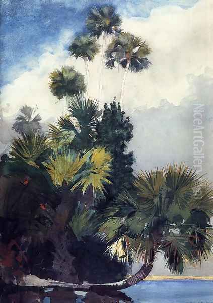 Palm Trees, Florida Oil Painting by Winslow Homer