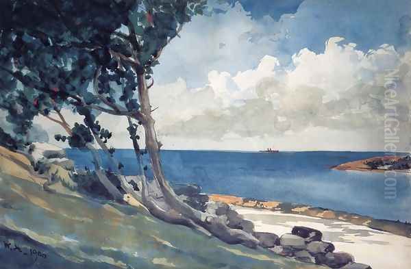 North Road, Bermuda Oil Painting by Winslow Homer