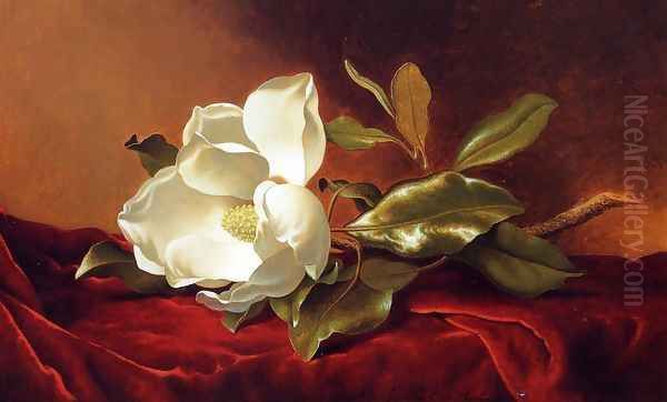 A Magnolia On Red Velvet Oil Painting by Martin Johnson Heade