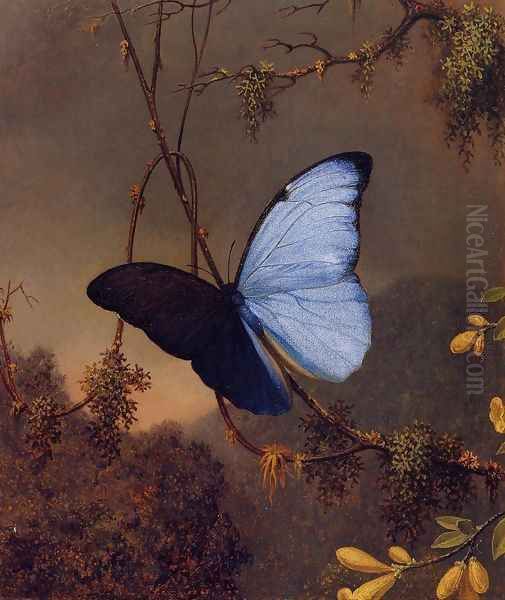 Blue Morpho Butterfly Oil Painting by Martin Johnson Heade