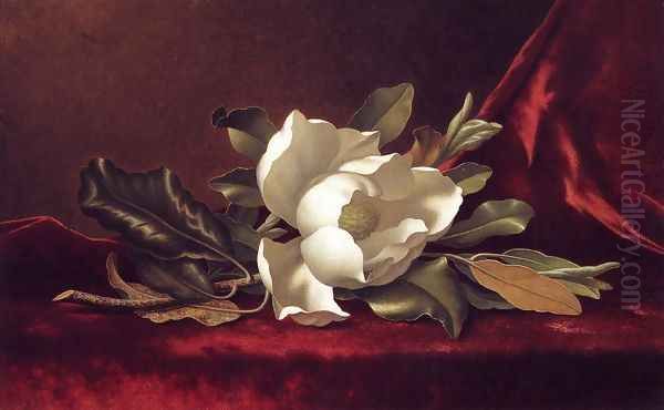 The Magnolia Blossom Oil Painting by Martin Johnson Heade