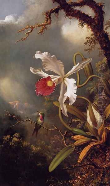 An Amethyst Hummingbird With A White Orchid Oil Painting by Martin Johnson Heade