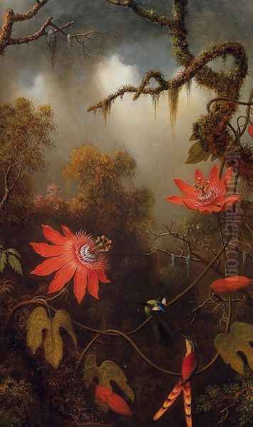 Two Hummingbirds Perched On Passion Flower Vines Oil Painting by Martin Johnson Heade