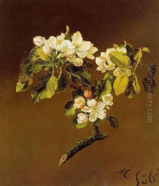 A Spray Of Apple Blossoms Oil Painting by Martin Johnson Heade