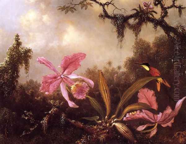 Orchids And Crimson Topaz Hummingbird Oil Painting by Martin Johnson Heade