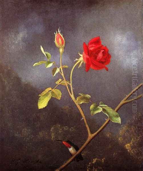 Red Rose With Ruby Throat Oil Painting by Martin Johnson Heade