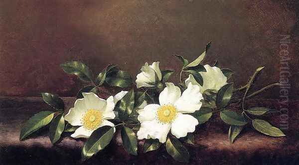 Cherokee Roses On A Purple Velvet Cloth Oil Painting by Martin Johnson Heade