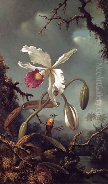 White Brazilian Orchid Oil Painting by Martin Johnson Heade