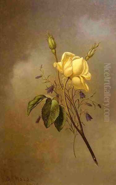 White Rose Against A Cloudy Sky Oil Painting by Martin Johnson Heade