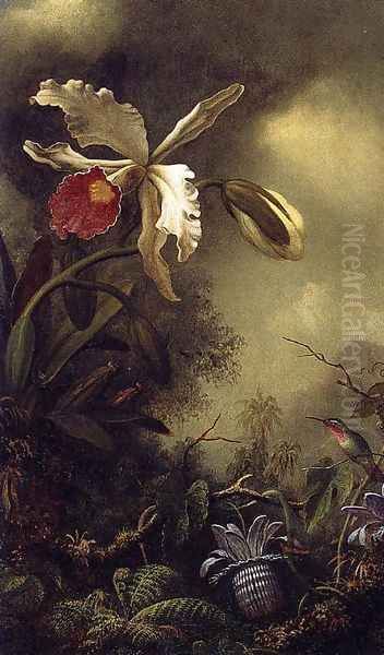 White Orchid And Hummingbird Oil Painting by Martin Johnson Heade