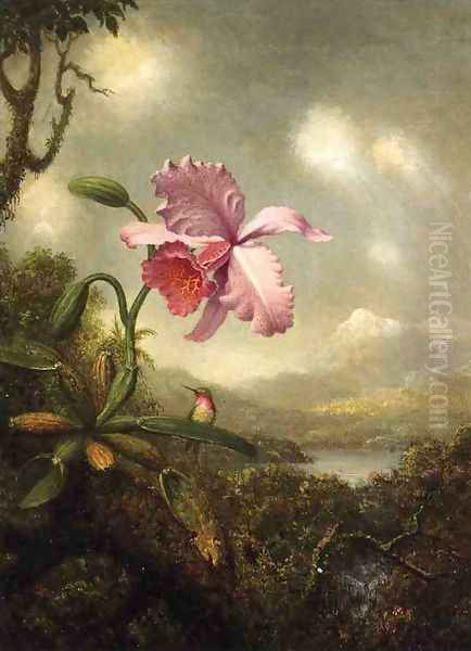 Hummingbird And Orchid Sun Breaking Through The Clouds Oil Painting by Martin Johnson Heade