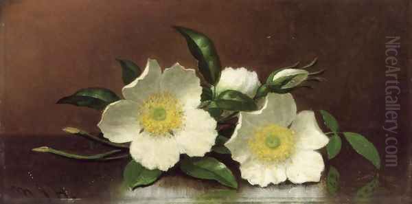 Two Cherokee Rose Blossoms On A Table Aka Cherokee Roses Oil Painting by Martin Johnson Heade