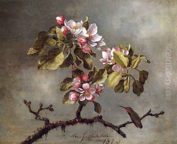 Apple Blossoms And Hummingbird2 Oil Painting by Martin Johnson Heade