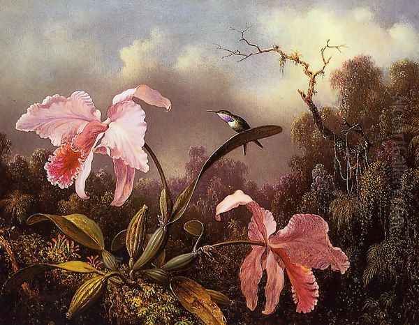 Orchids and Hummingbird Oil Painting by Martin Johnson Heade