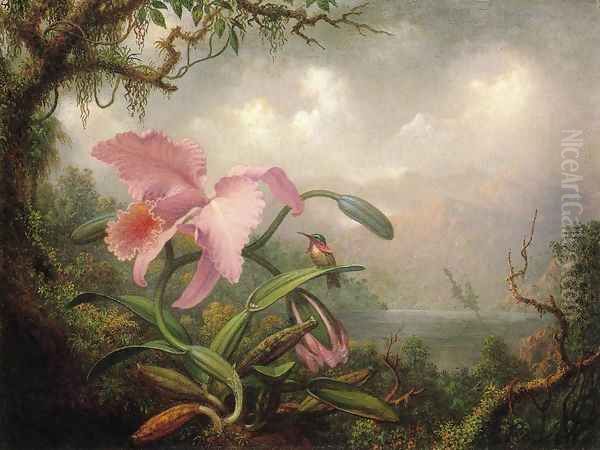 Orchid And Hummingbird Oil Painting by Martin Johnson Heade