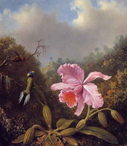 Fighting Hummingbirds With Pink Orchid Oil Painting by Martin Johnson Heade