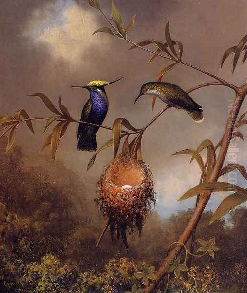 Black Breasted Plovercrest Oil Painting by Martin Johnson Heade