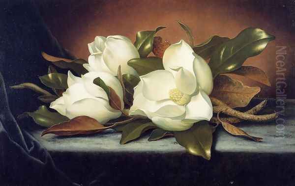 Giant Magnolias Oil Painting by Martin Johnson Heade