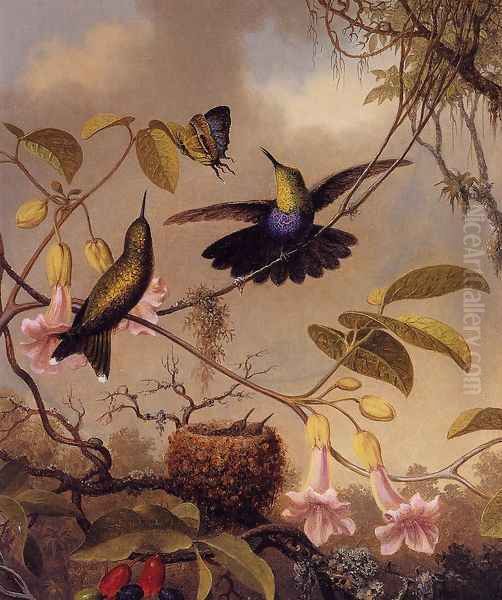 Fort Tailed Woodnymph Oil Painting by Martin Johnson Heade